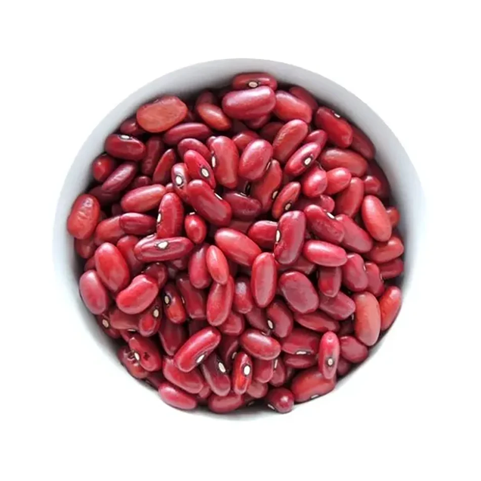 Poroto rojo
